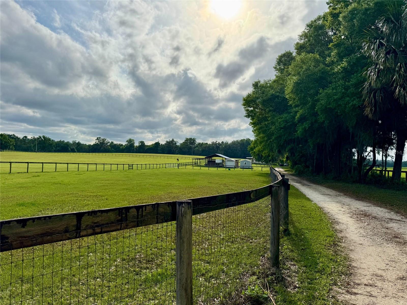 5637 NW 165TH ST, REDDICK, FL, 32686