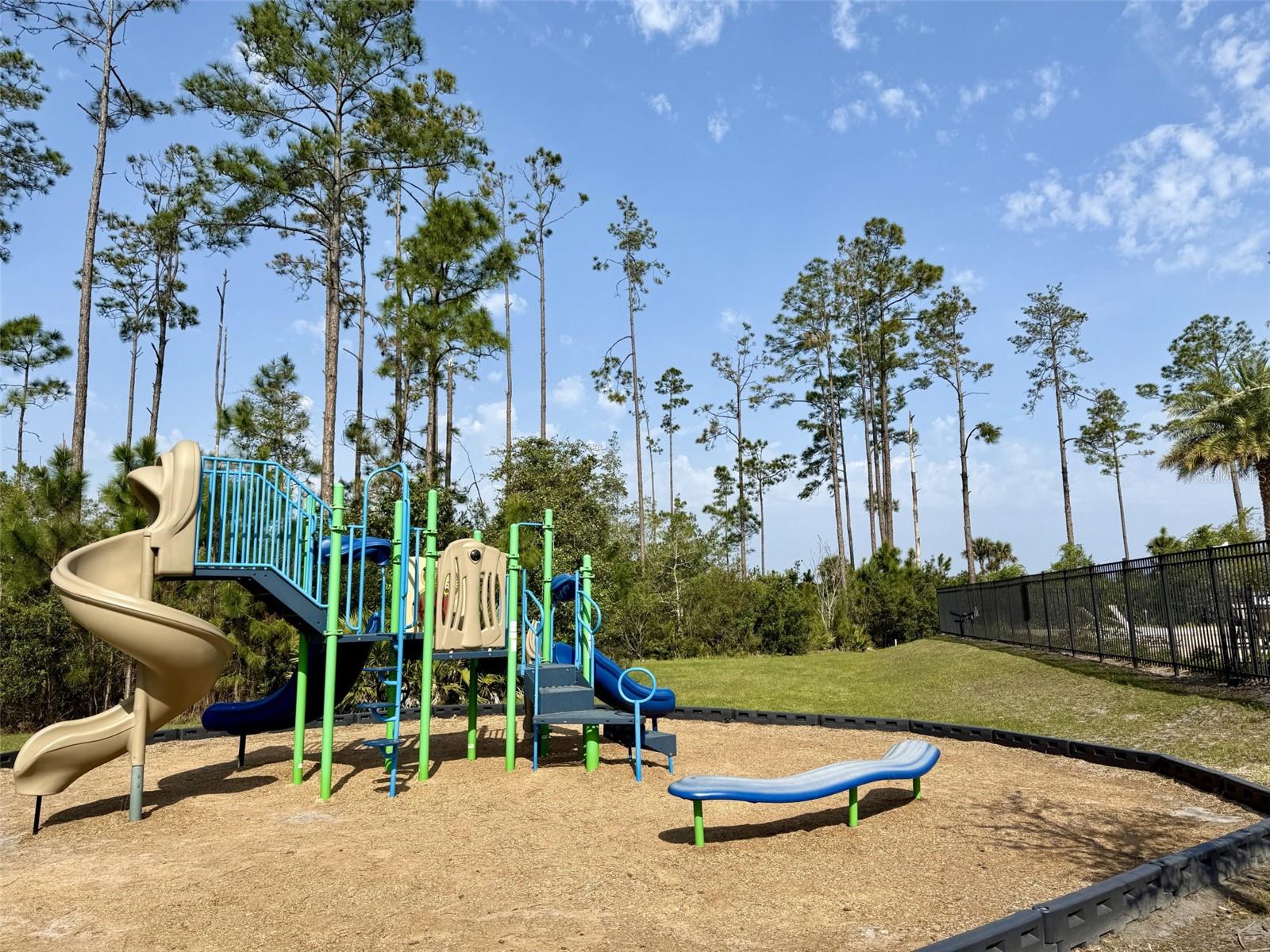 105 NIGHTHAWK LN, PALM COAST, FL, 32164