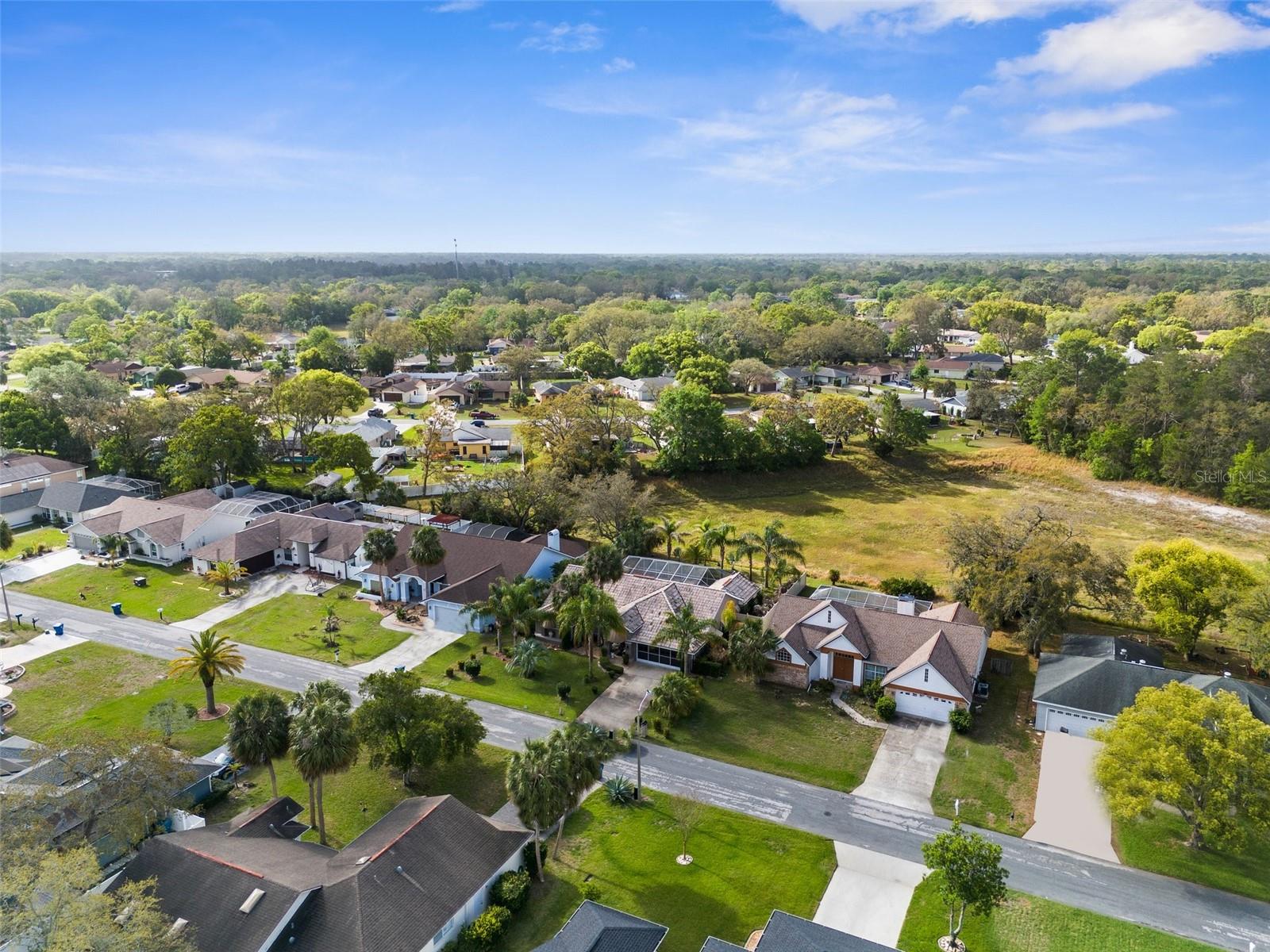 8200 RHANBUOY RD, SPRING HILL, FL, 34606