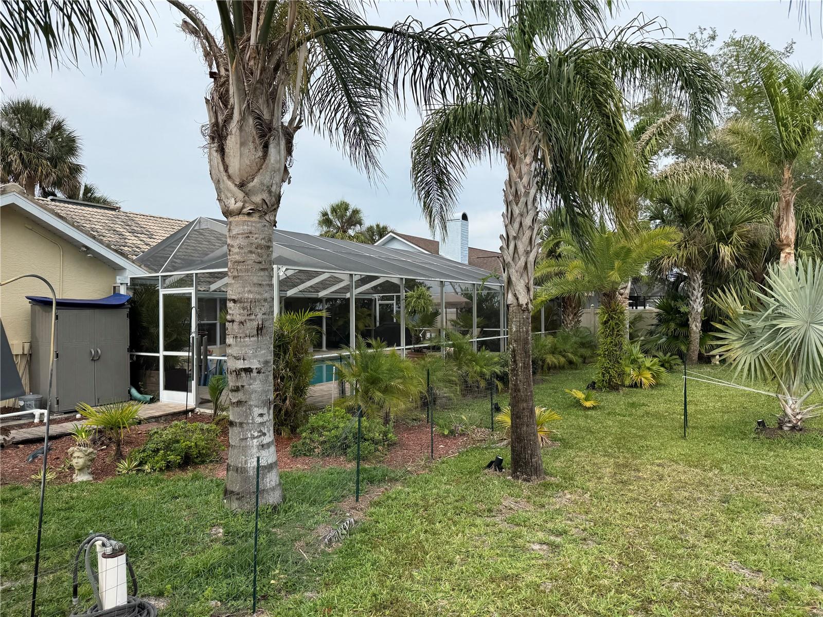 8200 RHANBUOY RD, SPRING HILL, FL, 34606