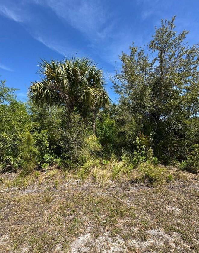 236 WARDELL AVE SW, PALM BAY, FL, 32908