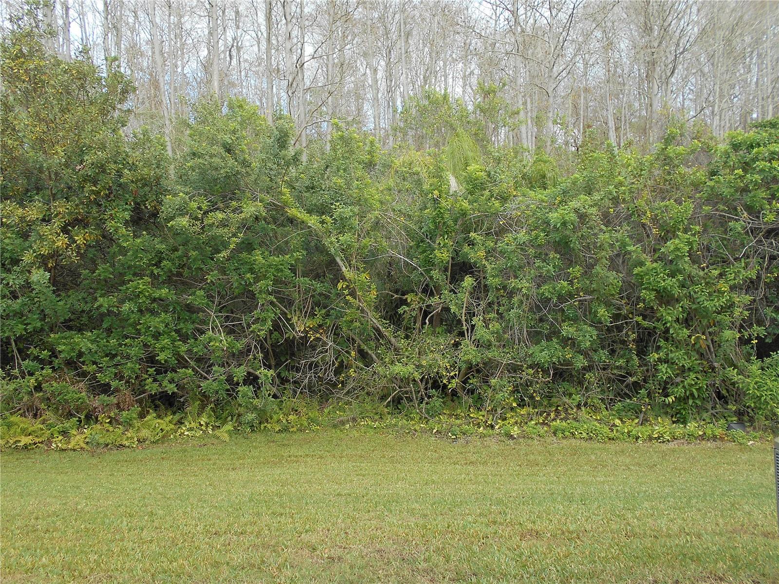2173 FOX CHASE BLVD, PALM HARBOR, FL, 34683