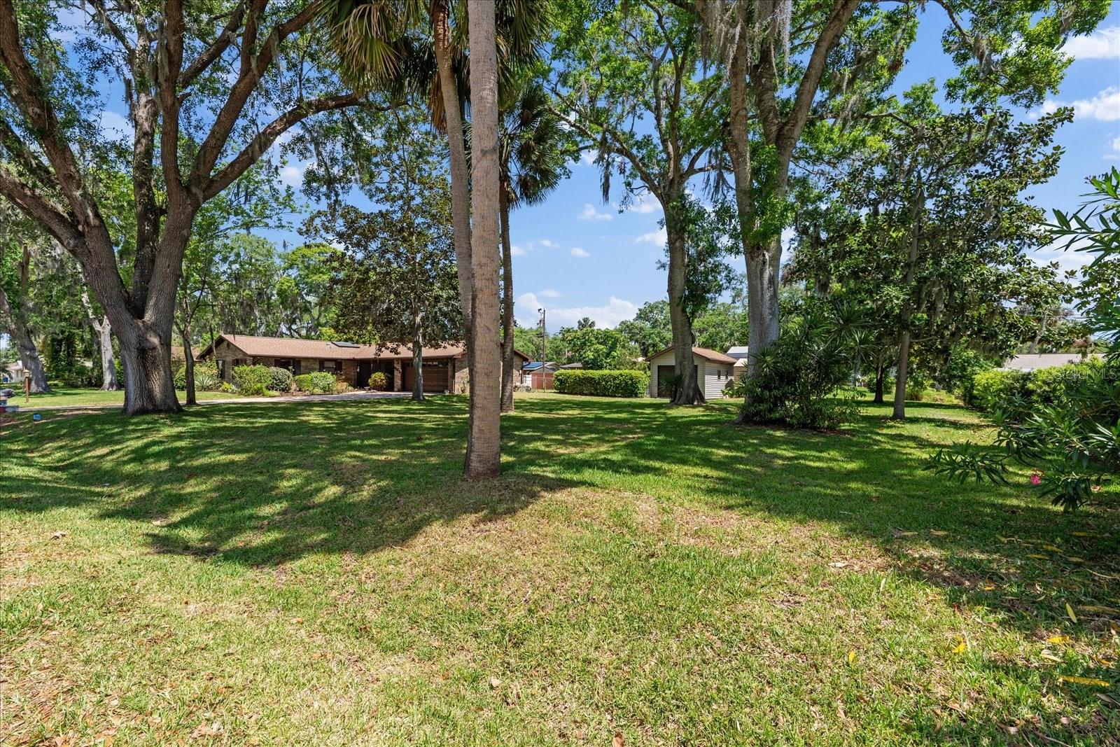 1905 PINE TREE DR, EDGEWATER, FL, 32141