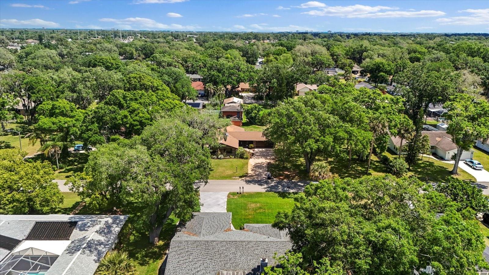 1905 PINE TREE DR, EDGEWATER, FL, 32141