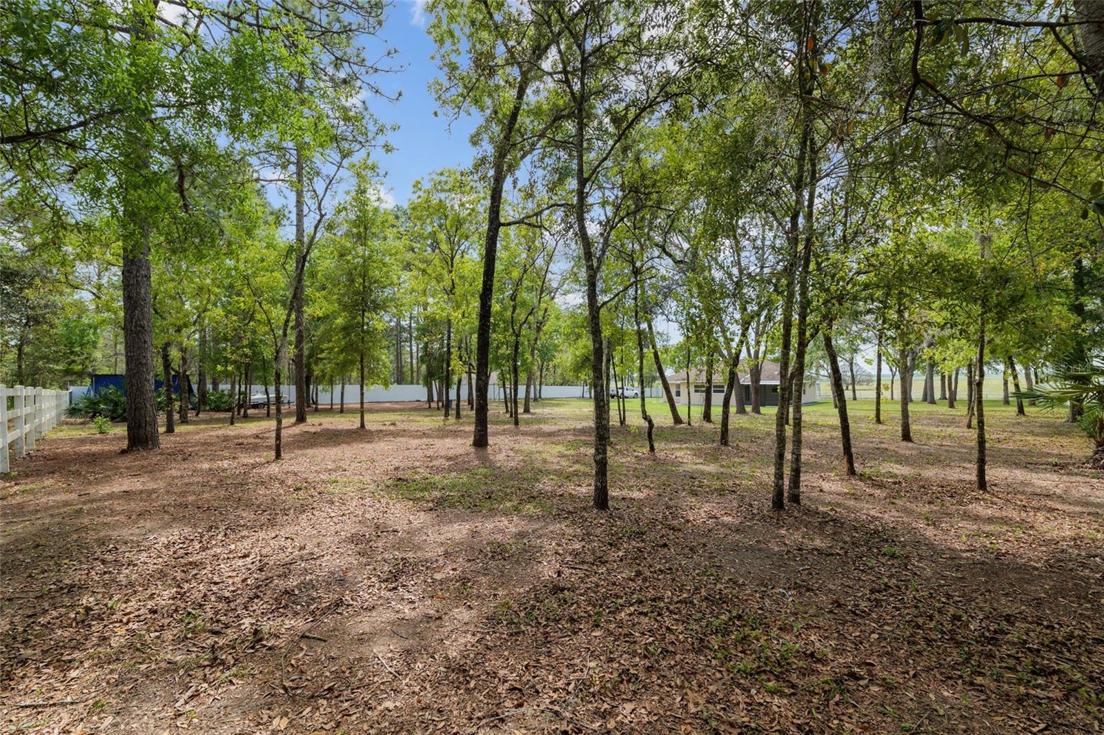 8055 SW 140TH AVE, DUNNELLON, FL, 34432