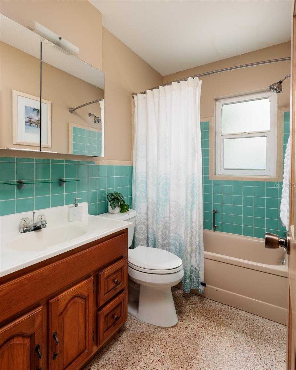 10517 BLOSSOM LAKE DR, SEMINOLE, FL, 33772