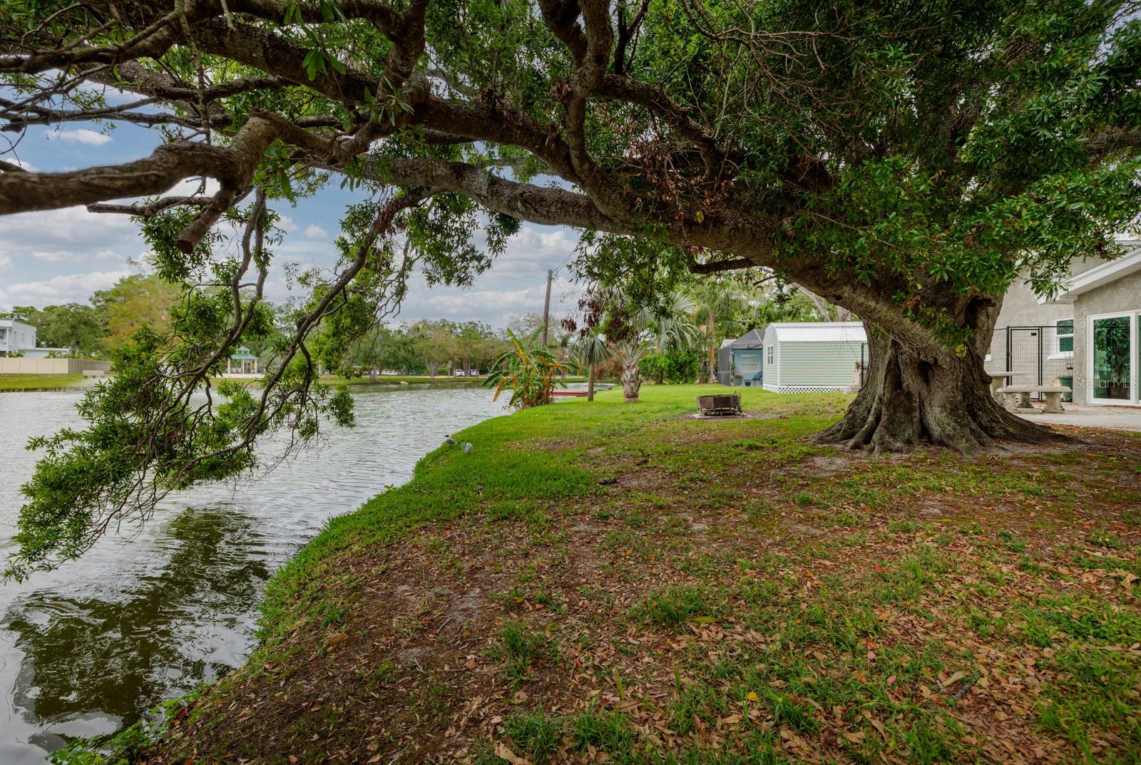 10517 BLOSSOM LAKE DR, SEMINOLE, FL, 33772