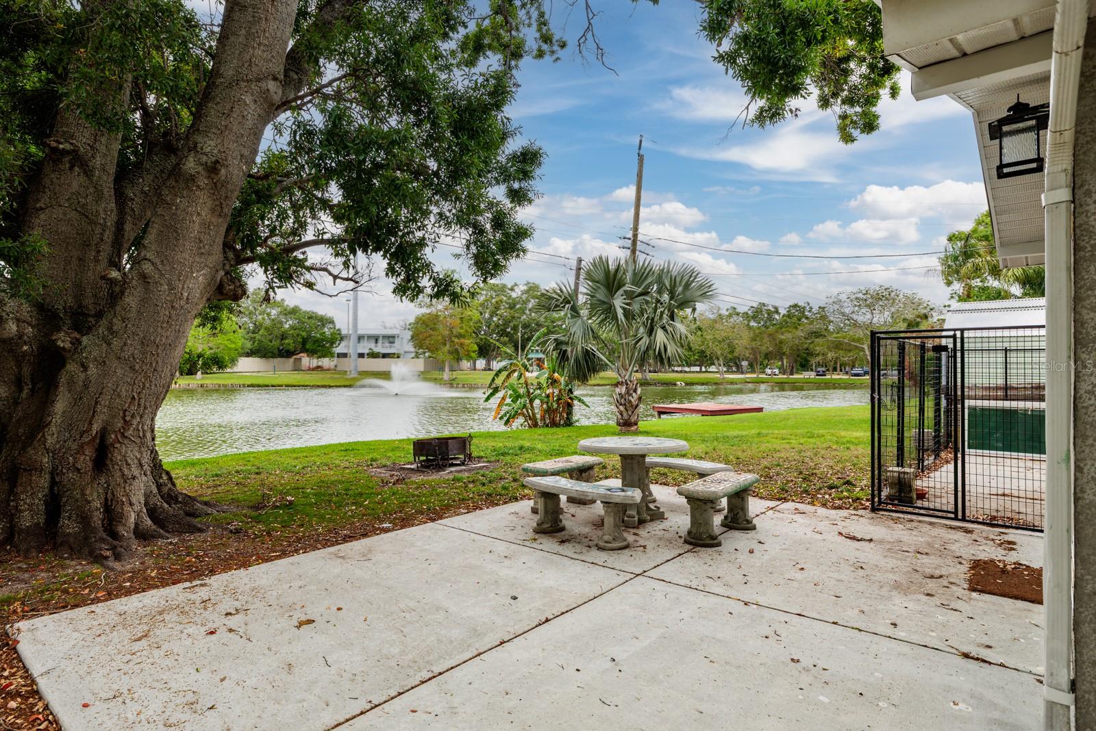 10517 BLOSSOM LAKE DR, SEMINOLE, FL, 33772