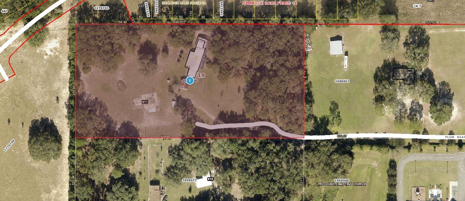 811 PLUM NEARLY LN, LADY LAKE, FL, 32159