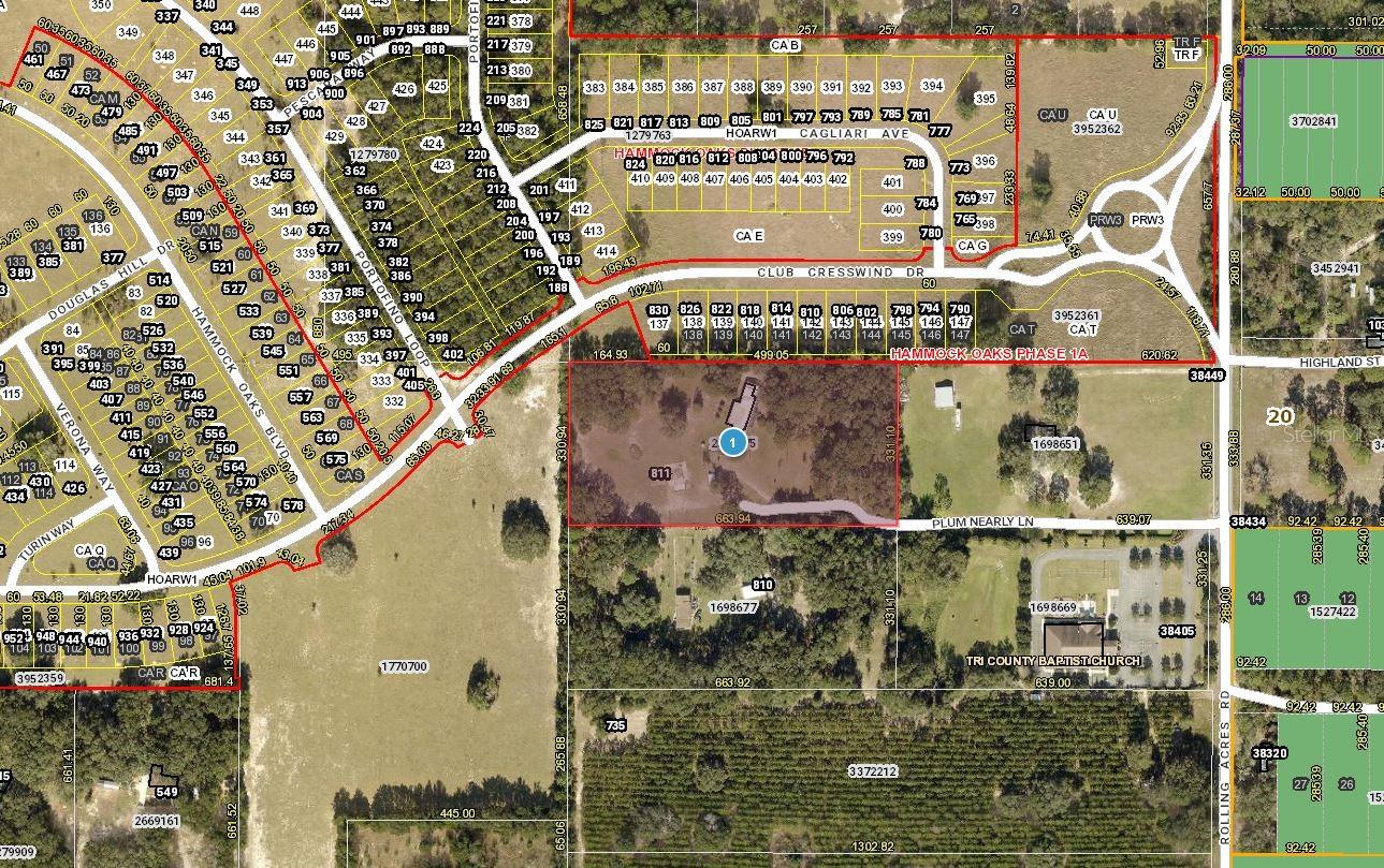 811 PLUM NEARLY LN, LADY LAKE, FL, 32159