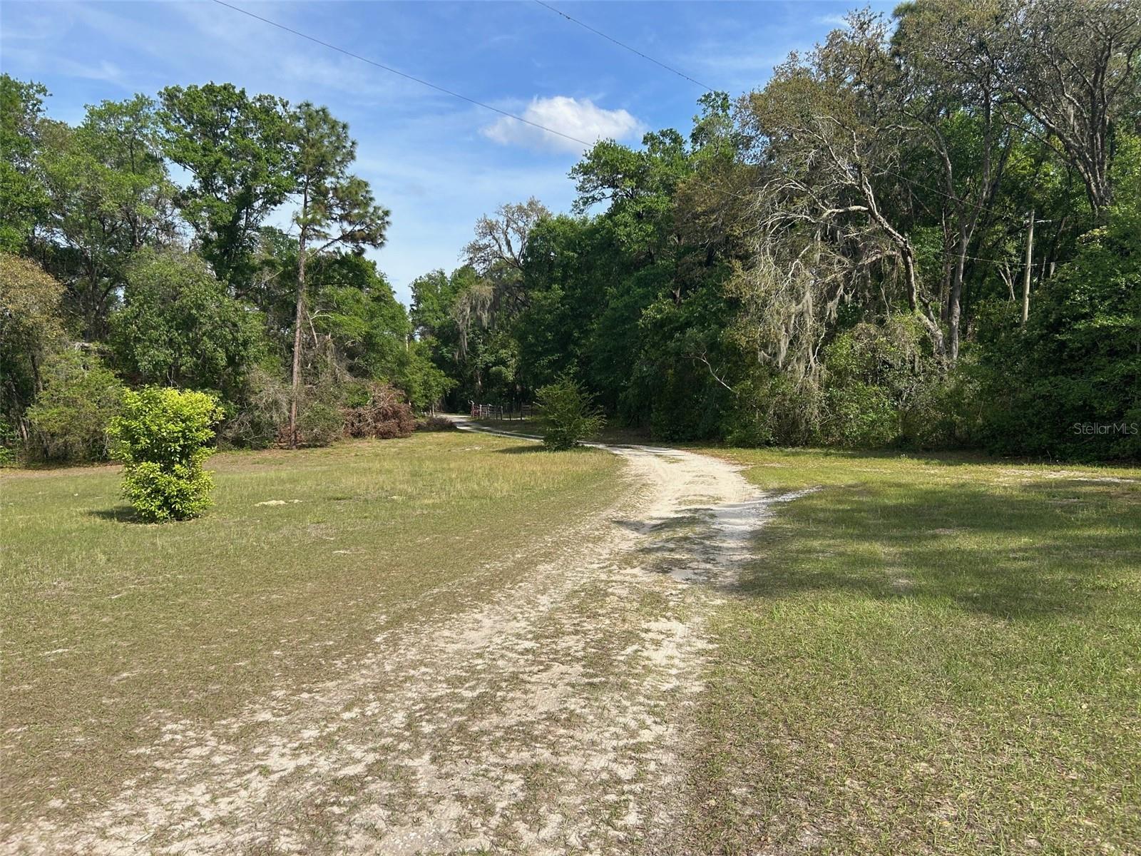 811 PLUM NEARLY LN, LADY LAKE, FL, 32159