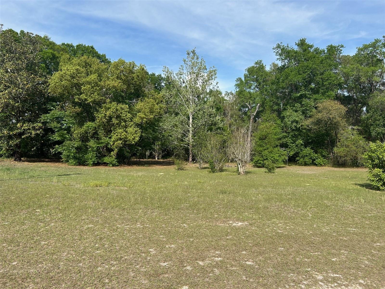 811 PLUM NEARLY LN, LADY LAKE, FL, 32159