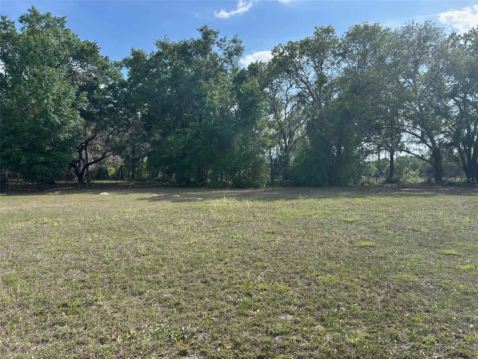 811 PLUM NEARLY LN, LADY LAKE, FL, 32159