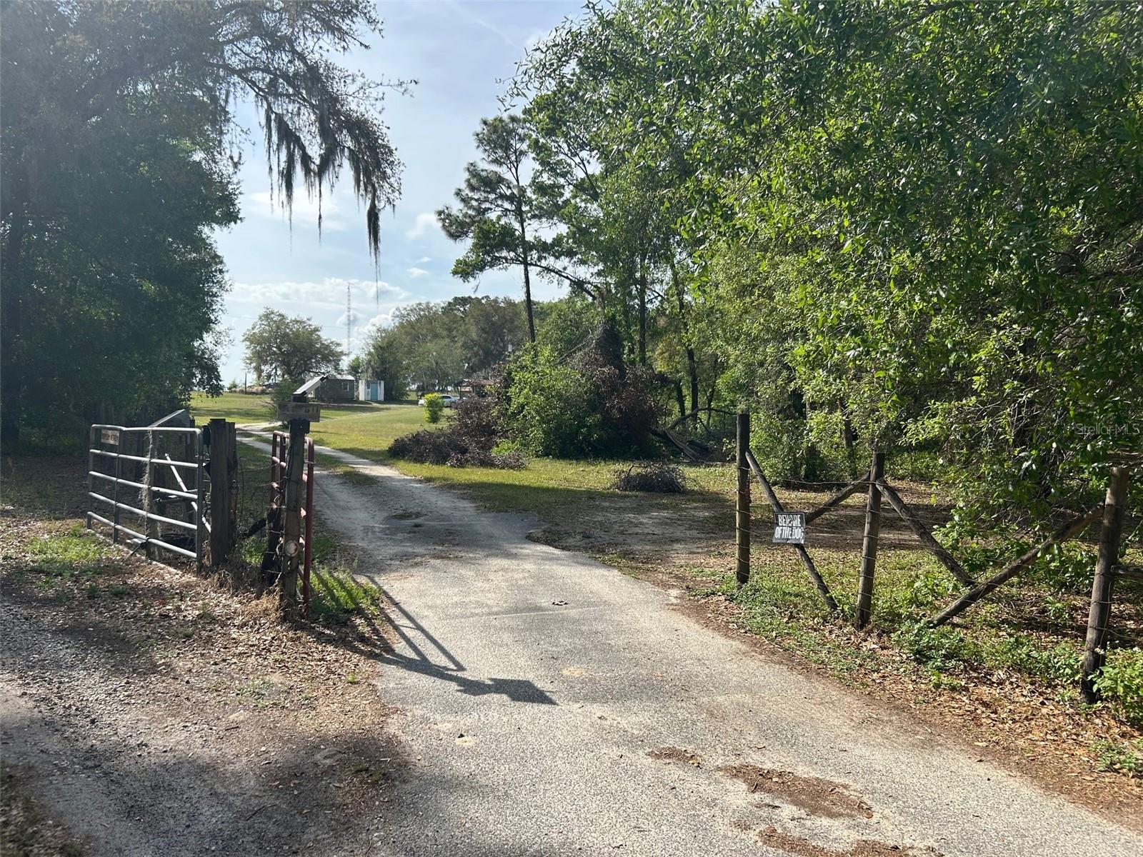 811 PLUM NEARLY LN, LADY LAKE, FL, 32159