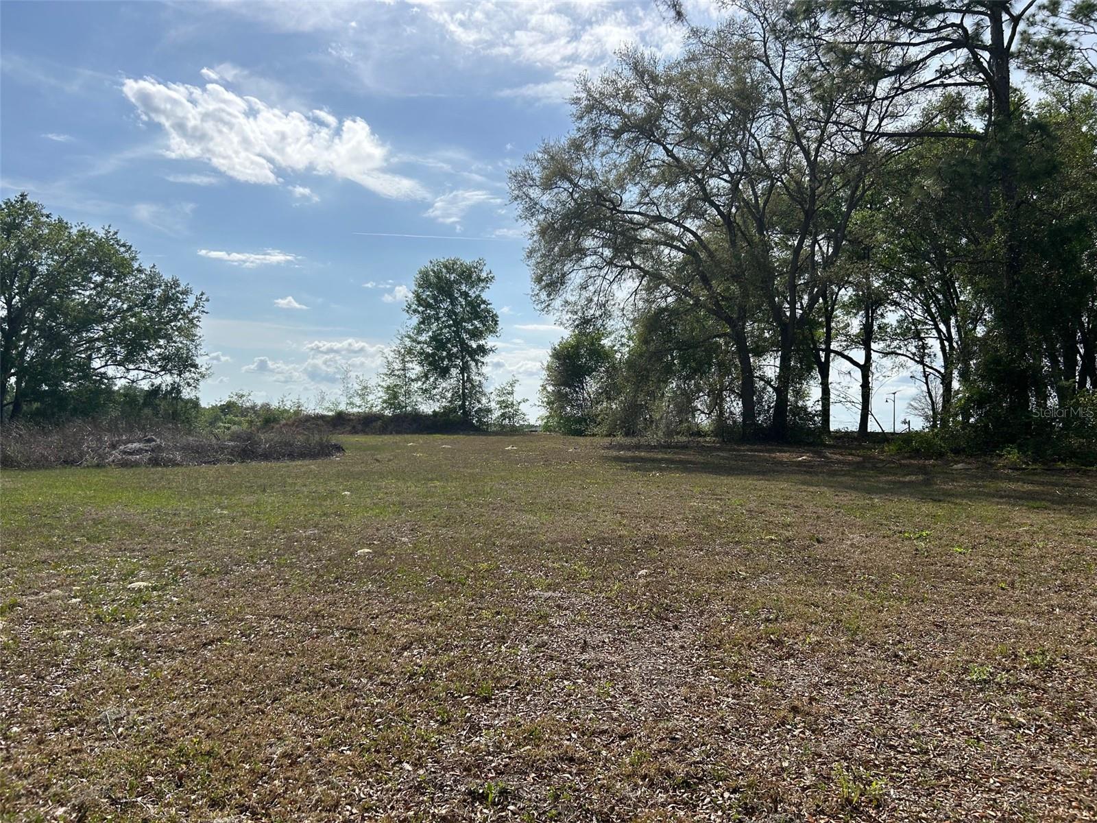 811 PLUM NEARLY LN, LADY LAKE, FL, 32159