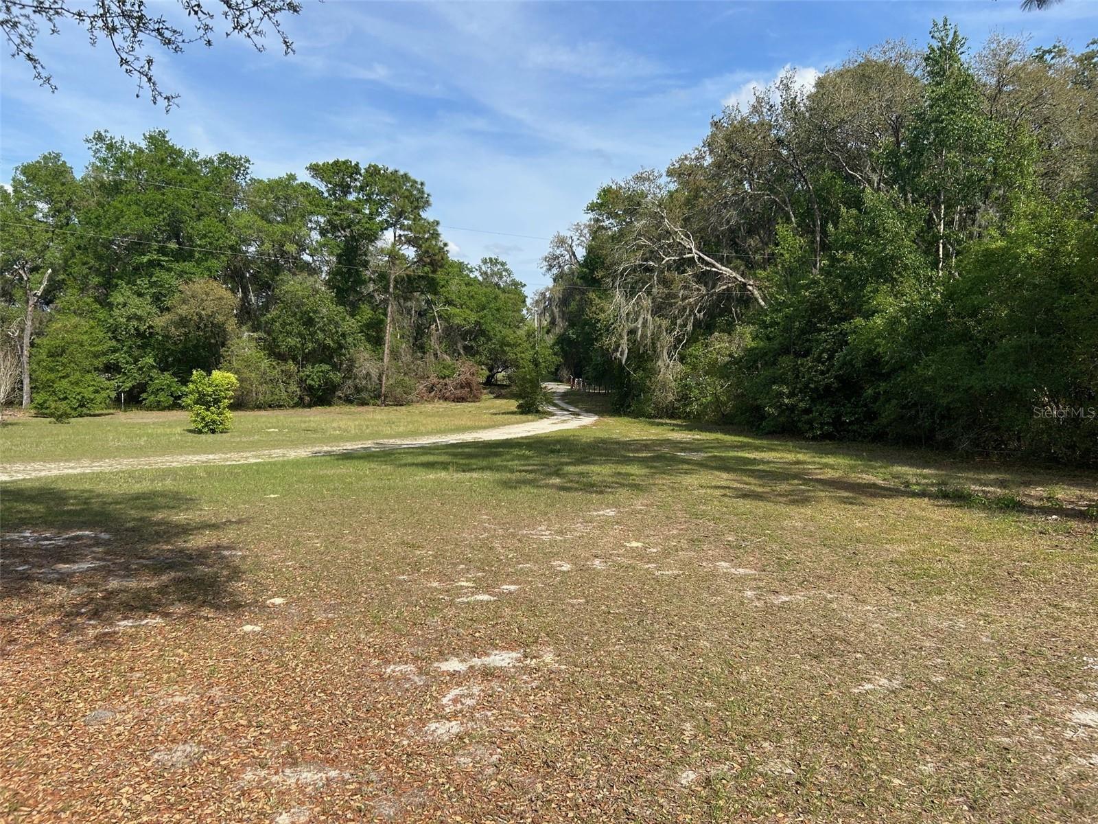 811 PLUM NEARLY LN, LADY LAKE, FL, 32159