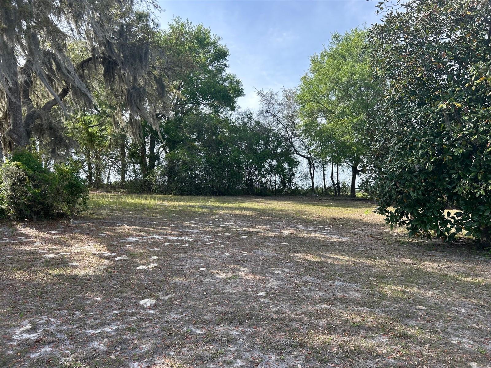 811 PLUM NEARLY LN, LADY LAKE, FL, 32159