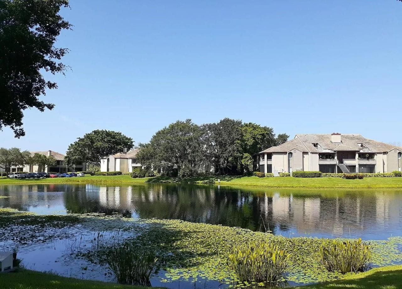 10263 GANDY BLVD N #615, ST PETERSBURG, FL, 33702