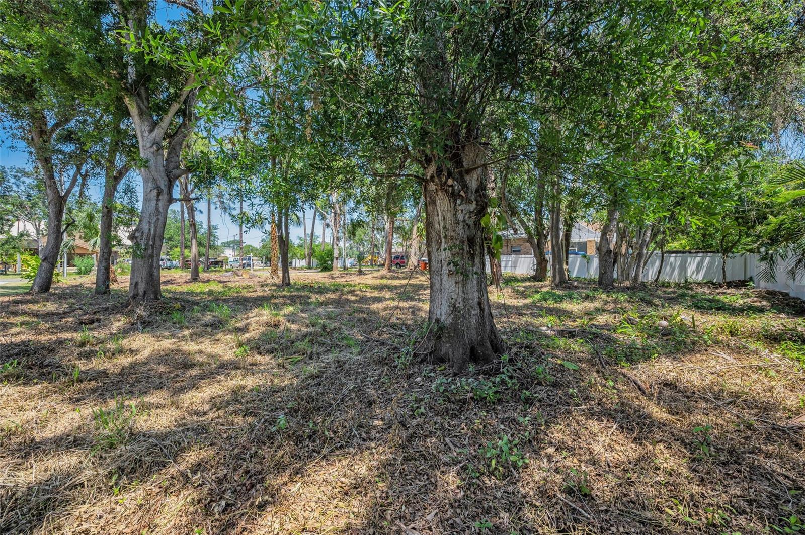 77TH AVE N, SEMINOLE, FL, 33776