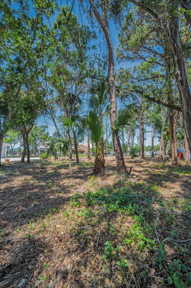 77TH AVE N, SEMINOLE, FL, 33776