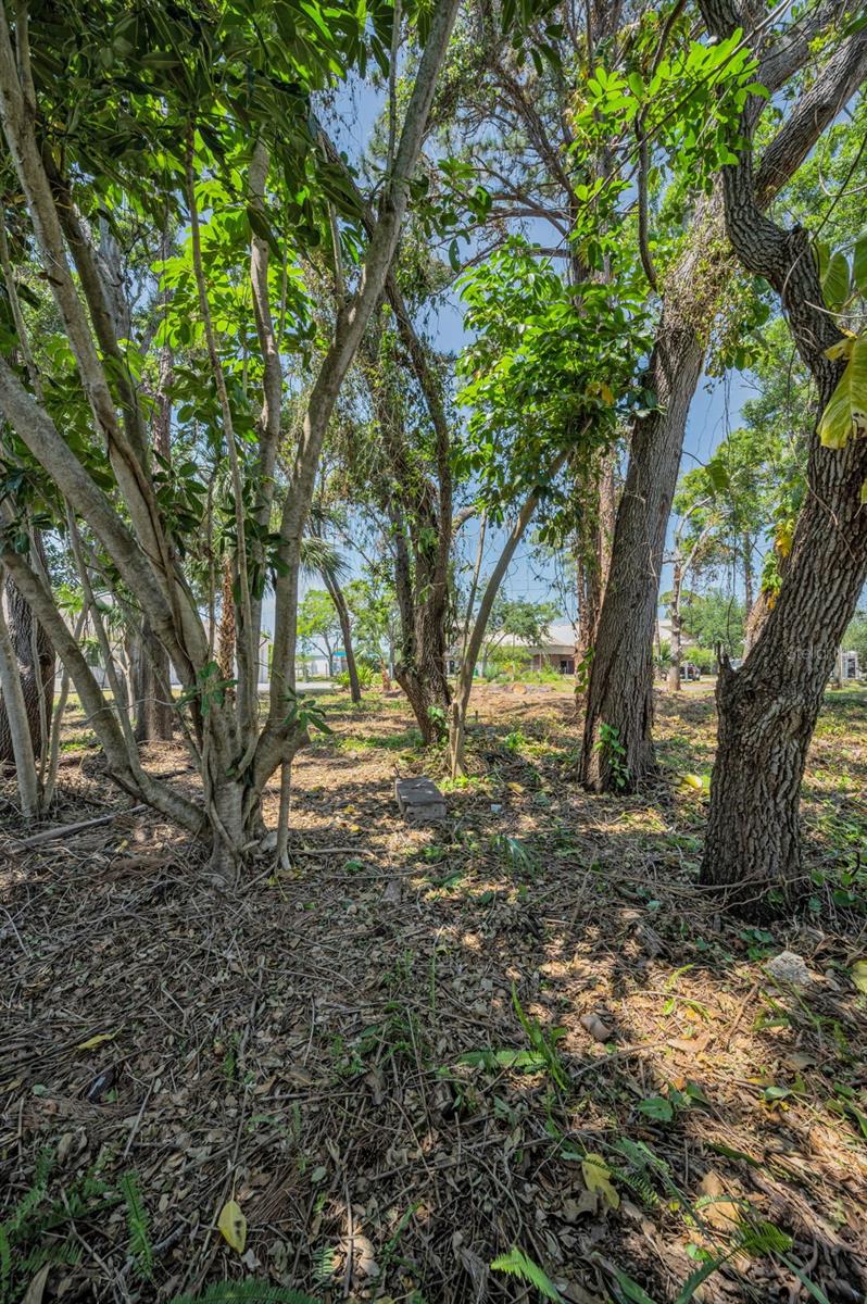 77TH AVE N, SEMINOLE, FL, 33776