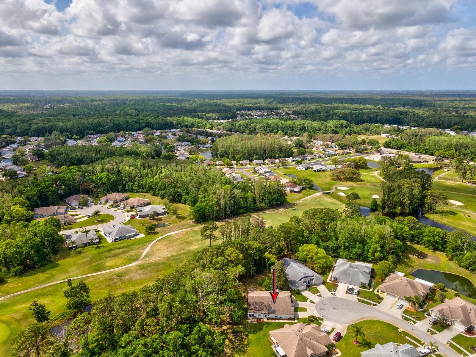 11524 HOLLY ANN DR, NEW PORT RICHEY, FL, 34654