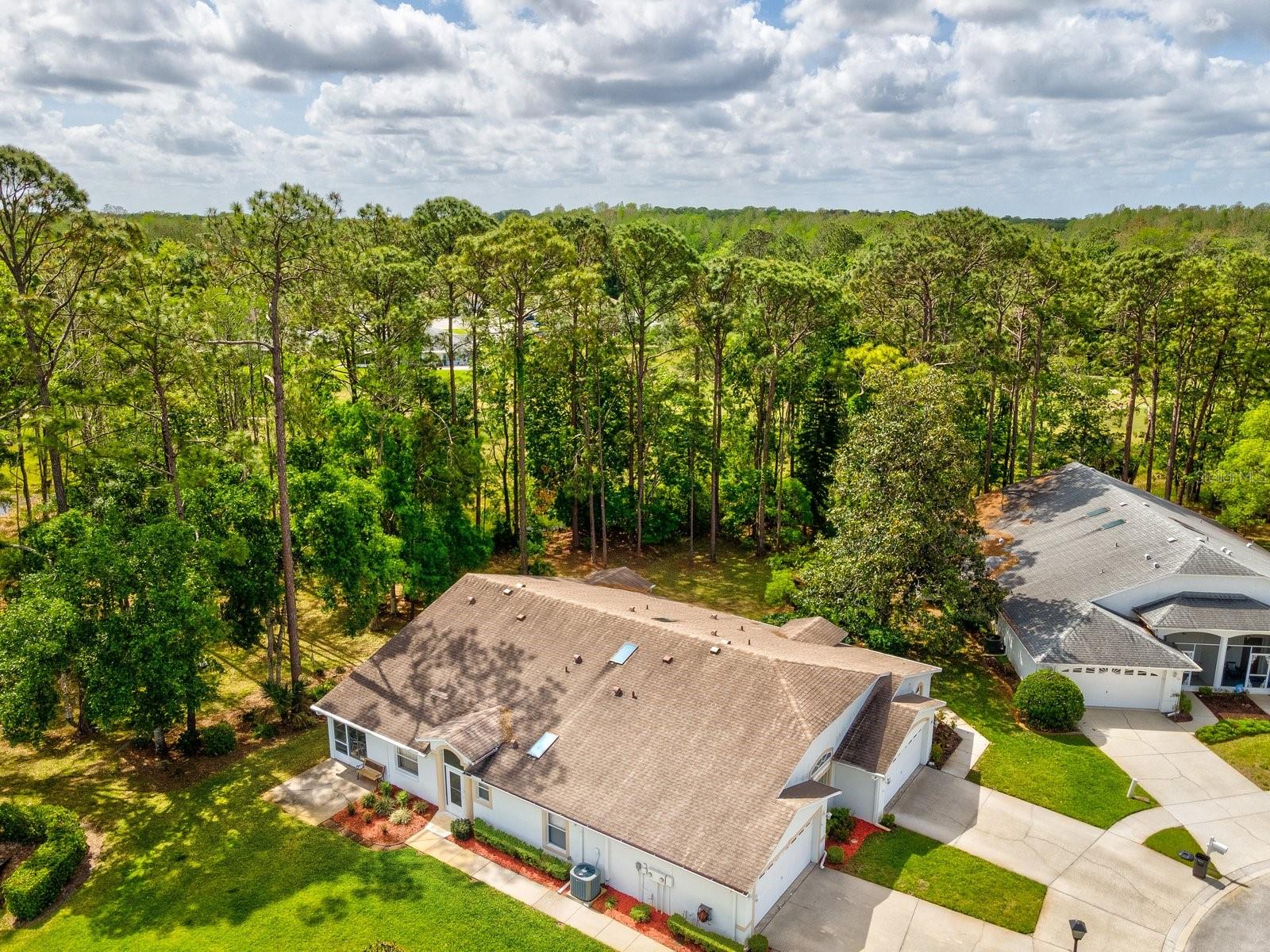 11524 HOLLY ANN DR, NEW PORT RICHEY, FL, 34654