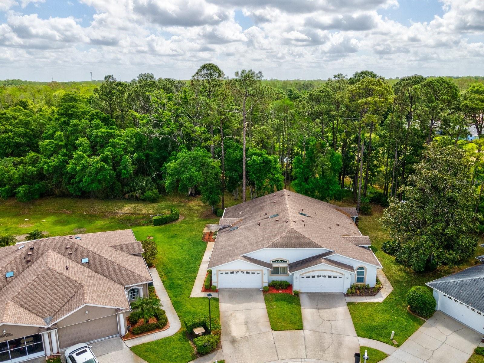 11524 HOLLY ANN DR, NEW PORT RICHEY, FL, 34654