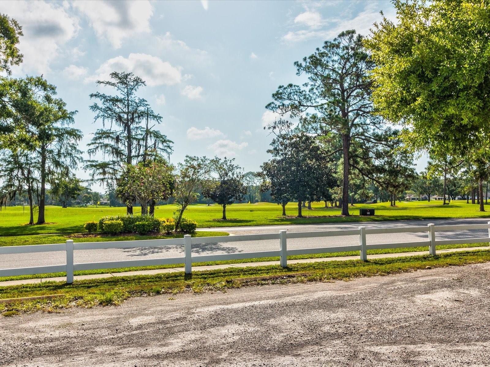 11524 HOLLY ANN DR, NEW PORT RICHEY, FL, 34654