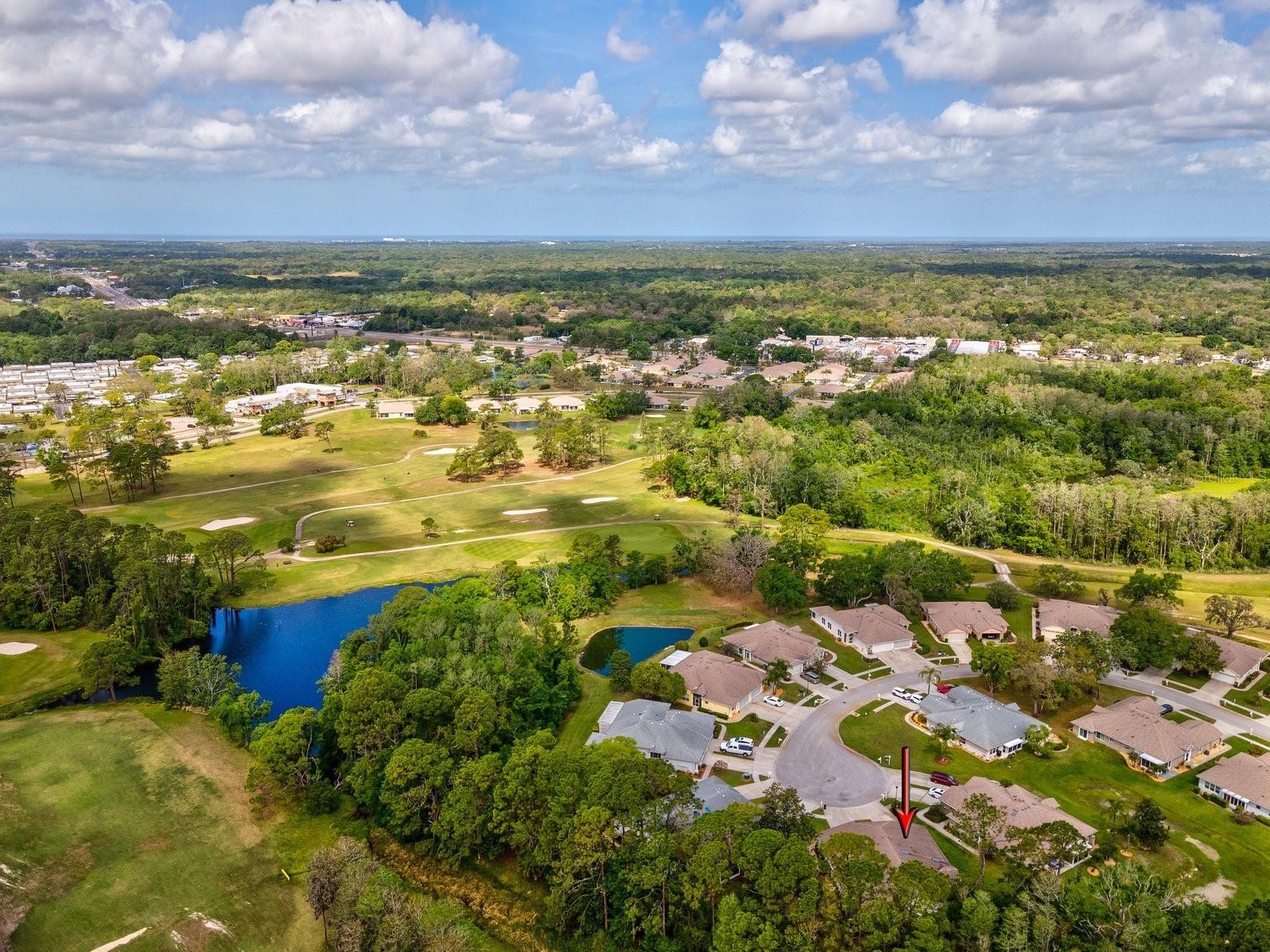 11524 HOLLY ANN DR, NEW PORT RICHEY, FL, 34654
