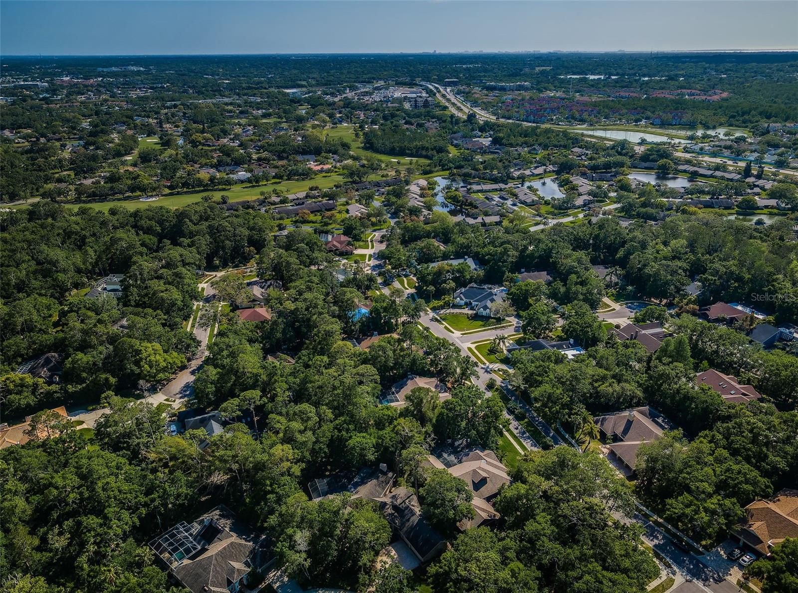 20 WILLOWWOOD LN, OLDSMAR, FL, 34677