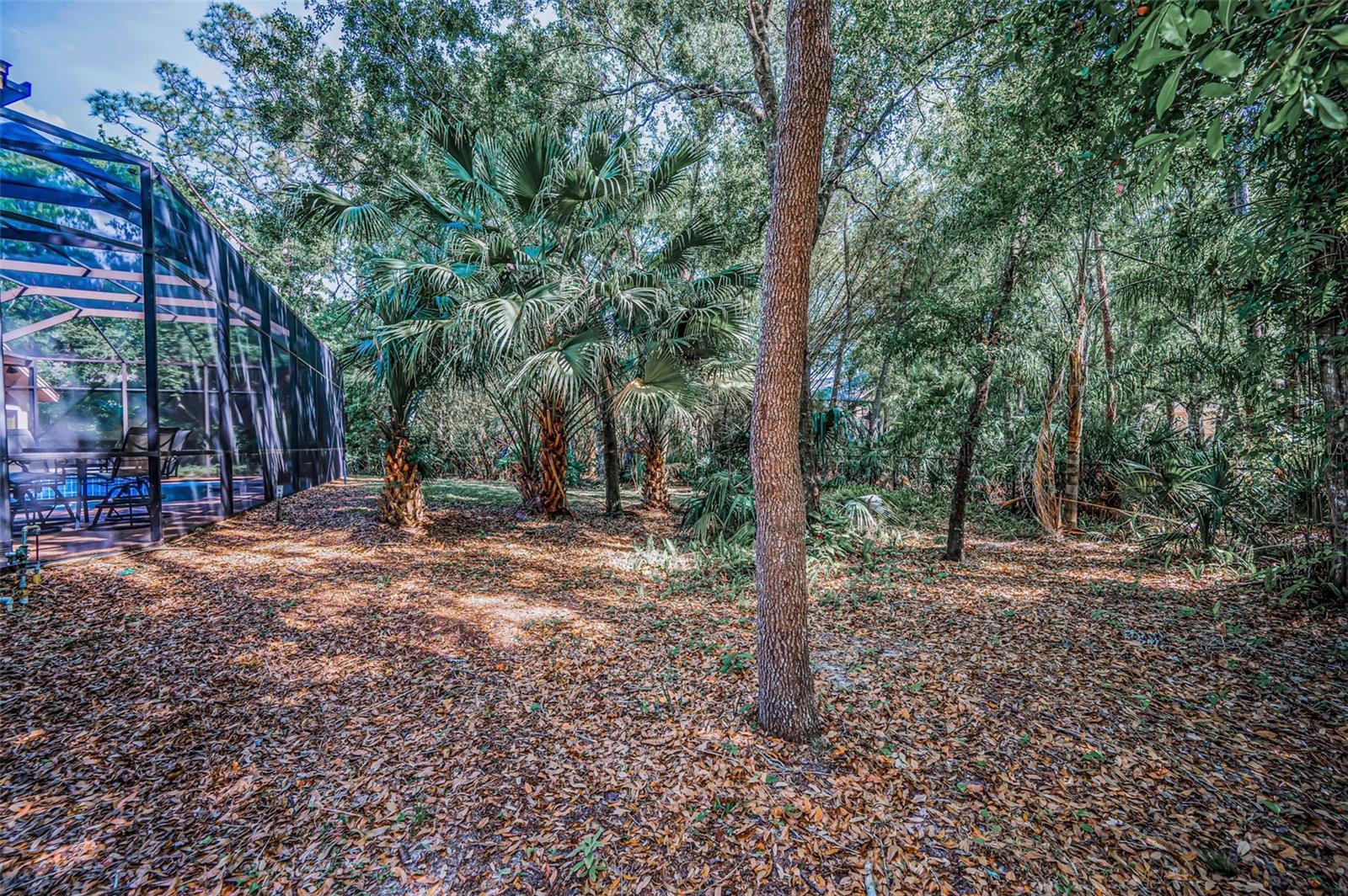 20 WILLOWWOOD LN, OLDSMAR, FL, 34677