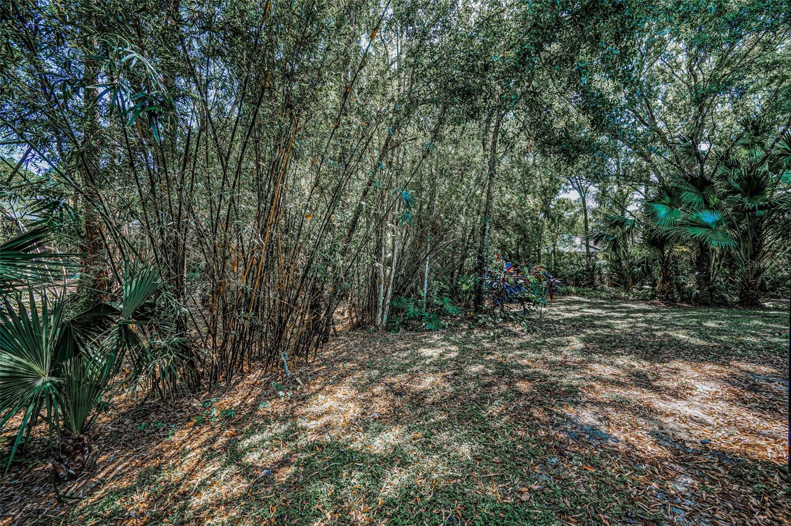 20 WILLOWWOOD LN, OLDSMAR, FL, 34677