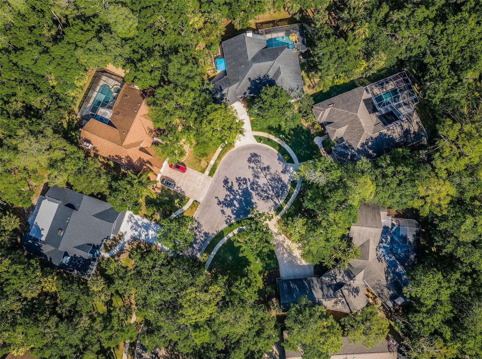 20 WILLOWWOOD LN, OLDSMAR, FL, 34677
