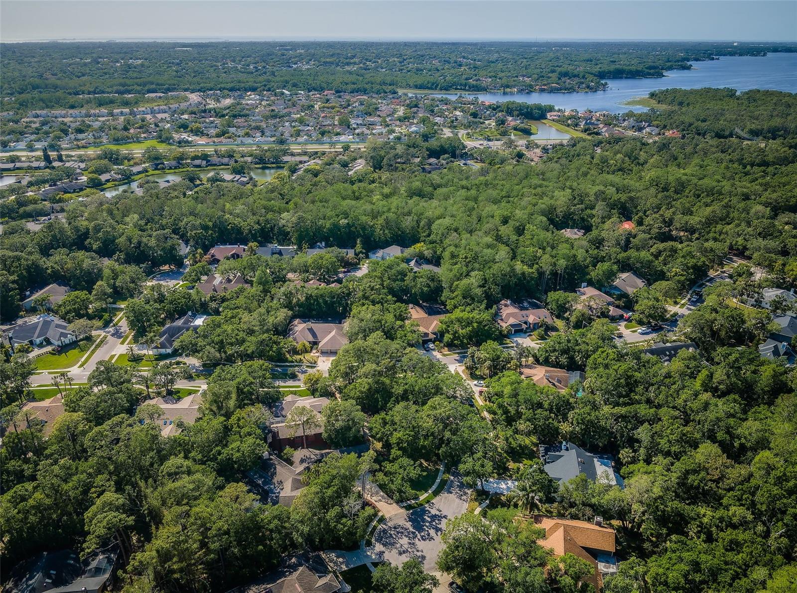 20 WILLOWWOOD LN, OLDSMAR, FL, 34677