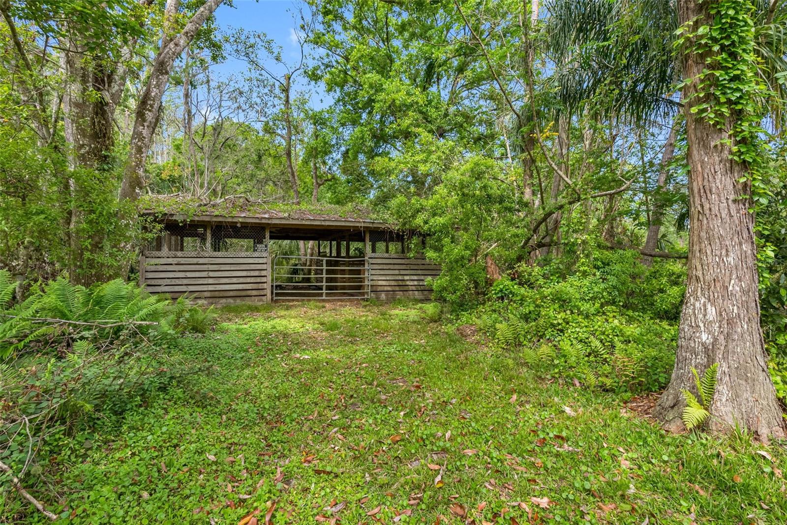 346 RANCH RD, TARPON SPRINGS, FL, 34688