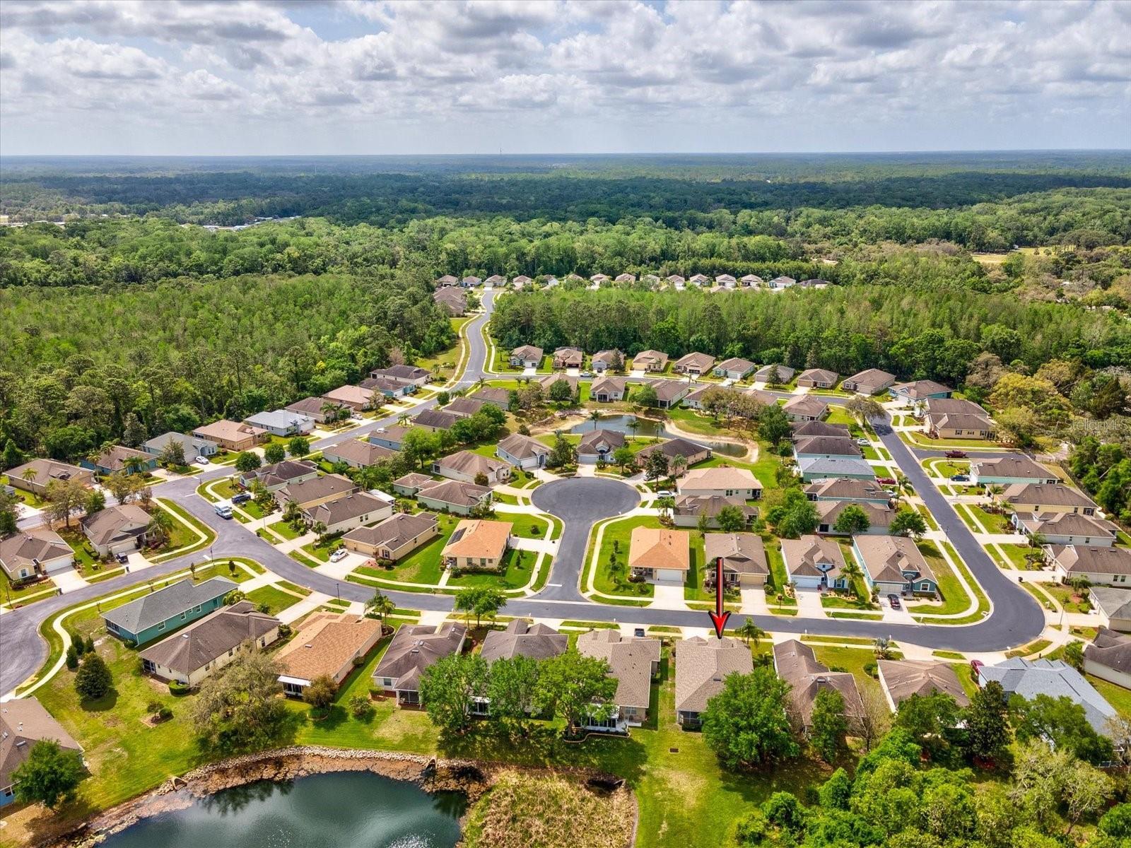 11050 KISKADEE CIR, NEW PORT RICHEY, FL, 34654