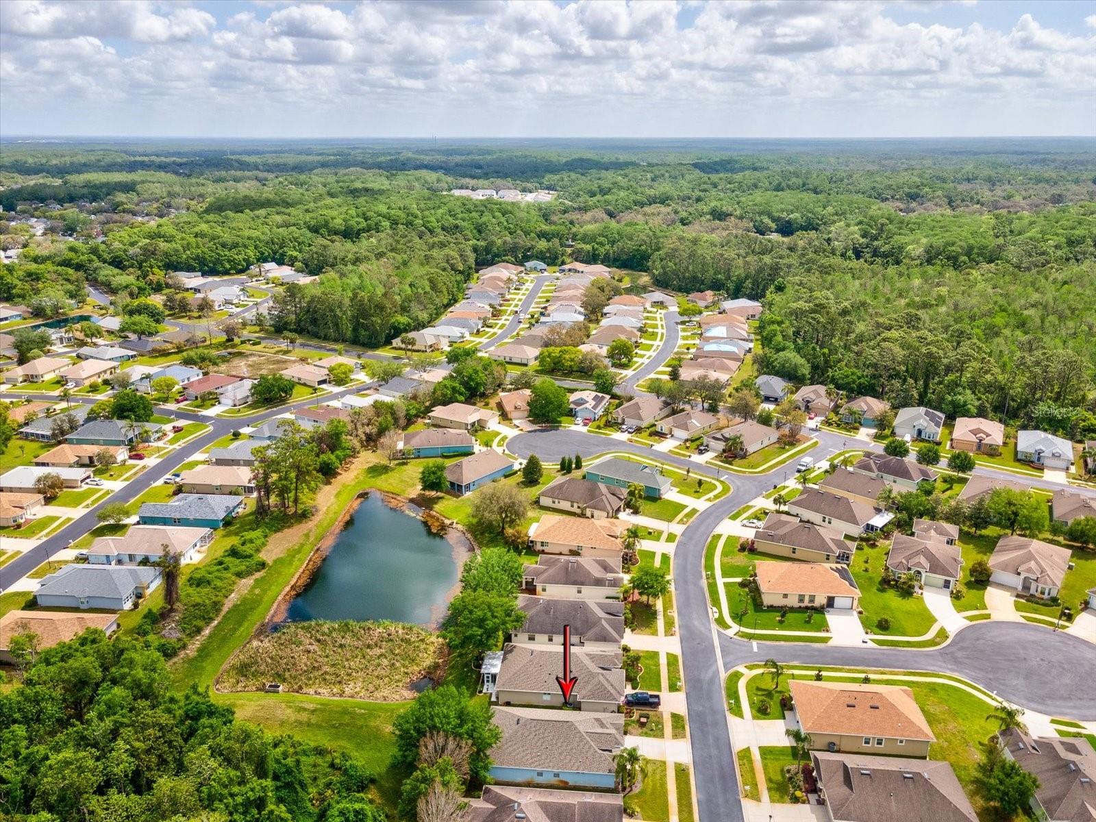 11050 KISKADEE CIR, NEW PORT RICHEY, FL, 34654