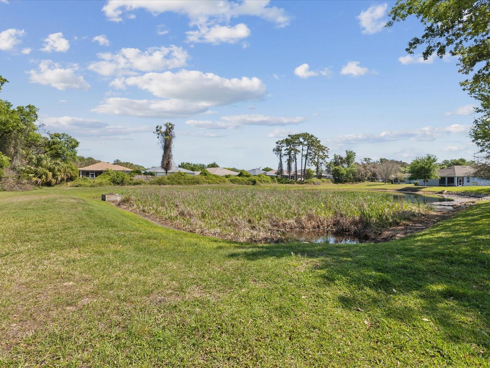 11050 KISKADEE CIR, NEW PORT RICHEY, FL, 34654