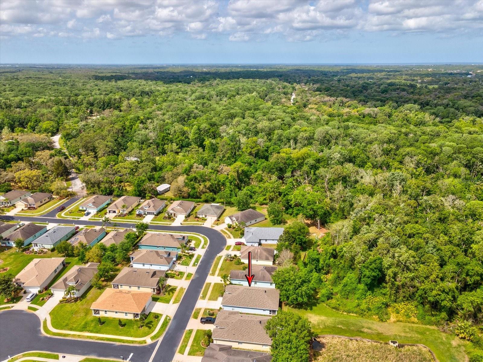 11050 KISKADEE CIR, NEW PORT RICHEY, FL, 34654