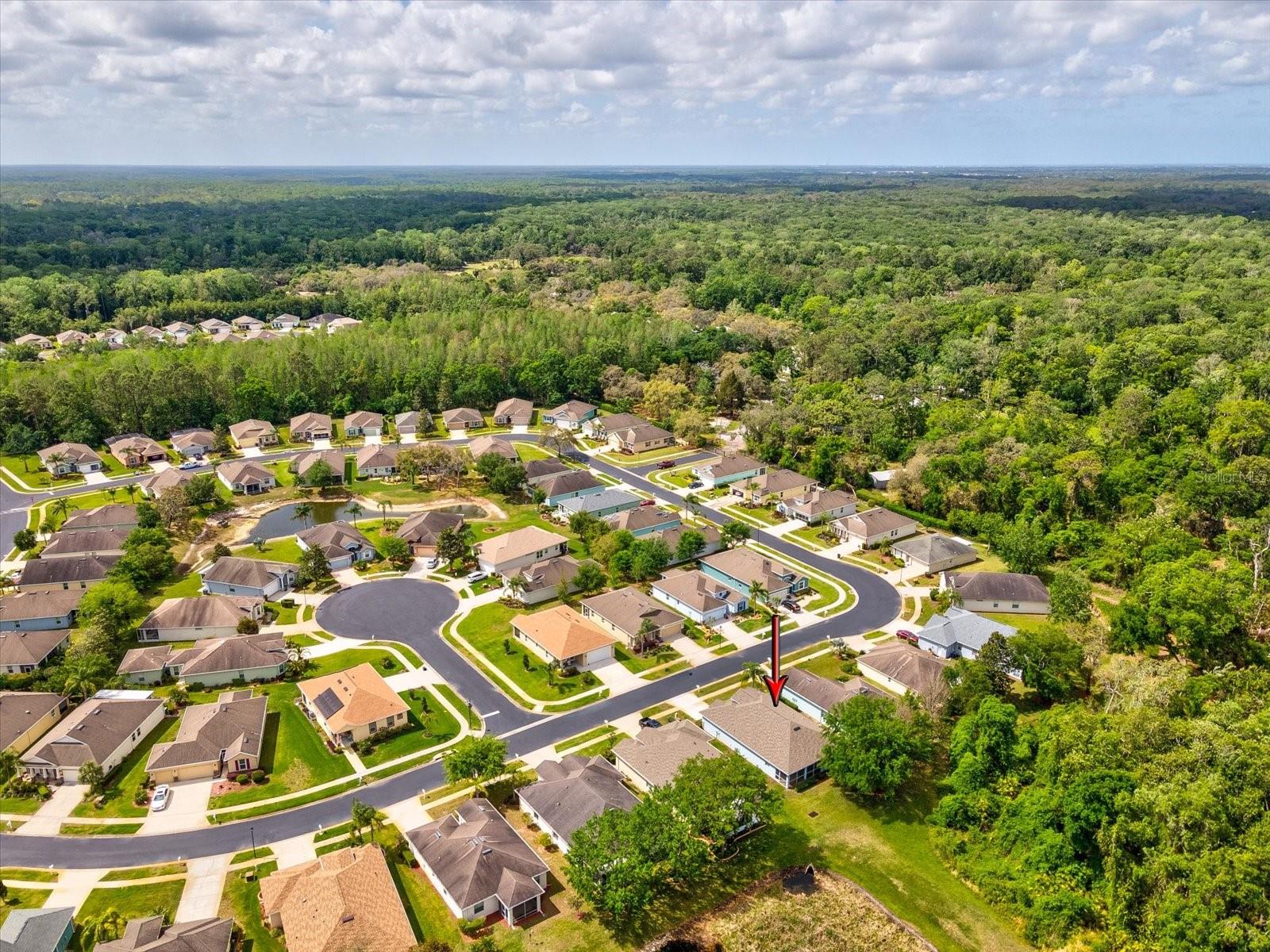 11050 KISKADEE CIR, NEW PORT RICHEY, FL, 34654