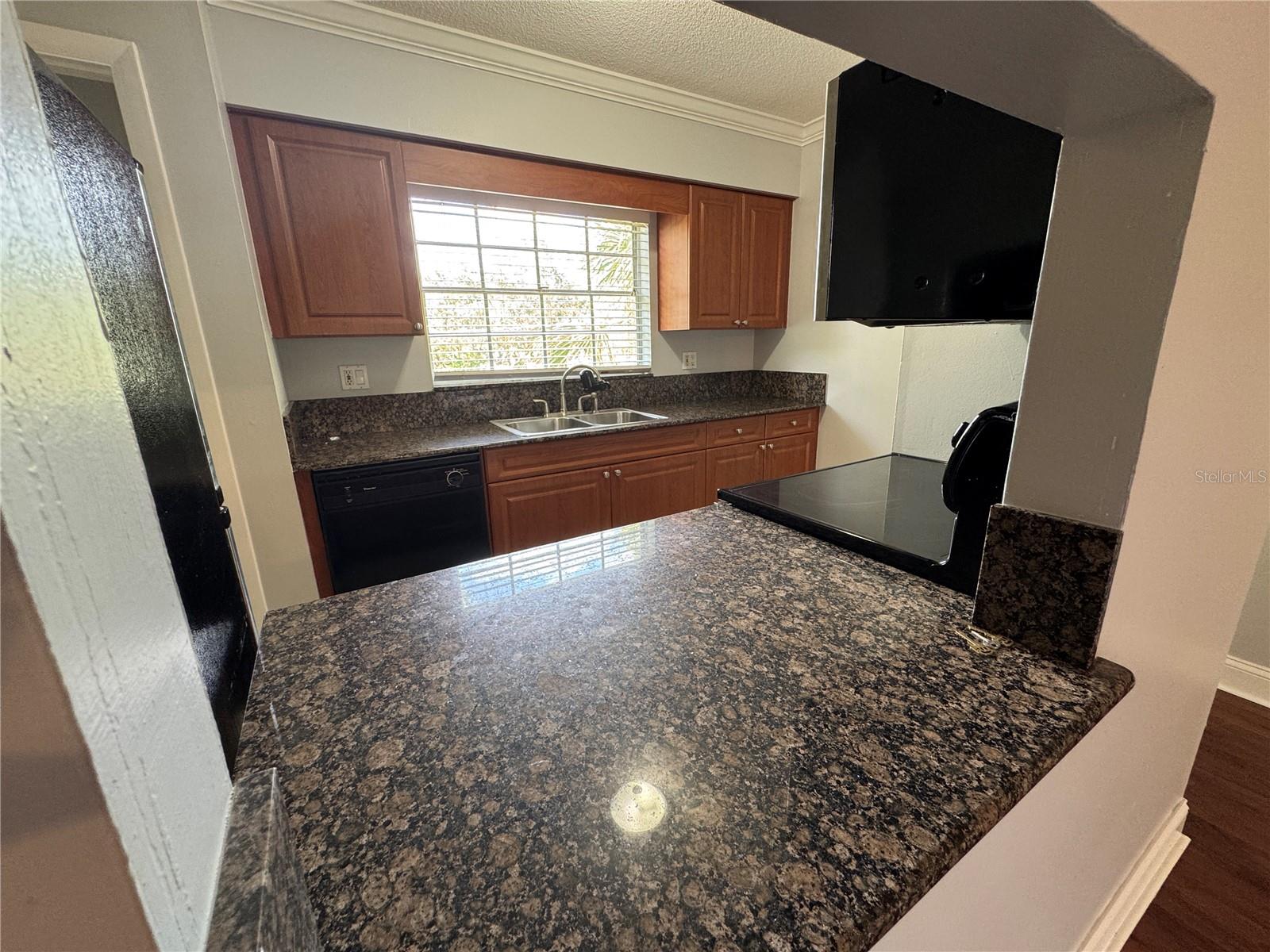 120 S CHURCH AVE #211, TAMPA, FL, 33609