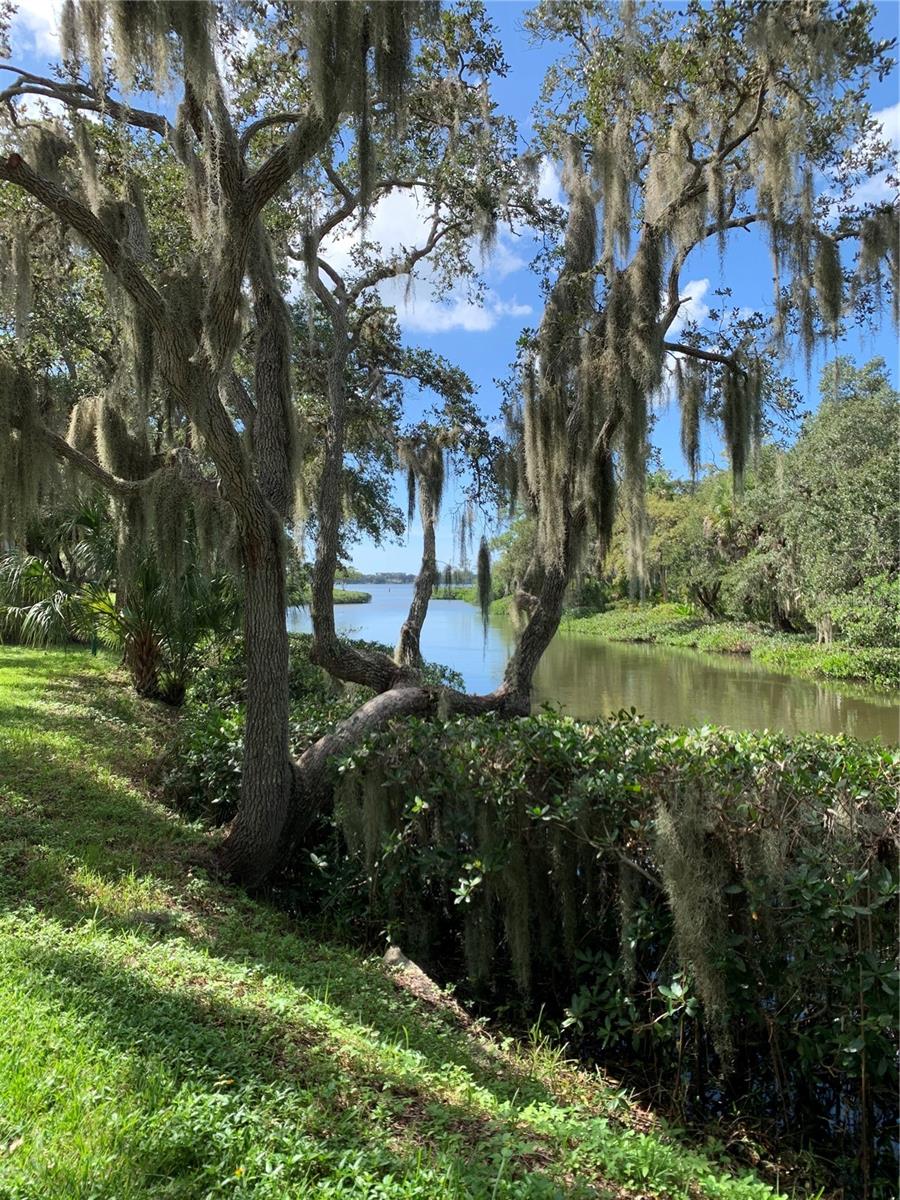 1708 GLENHOUSE DR #413, SARASOTA, FL, 34231