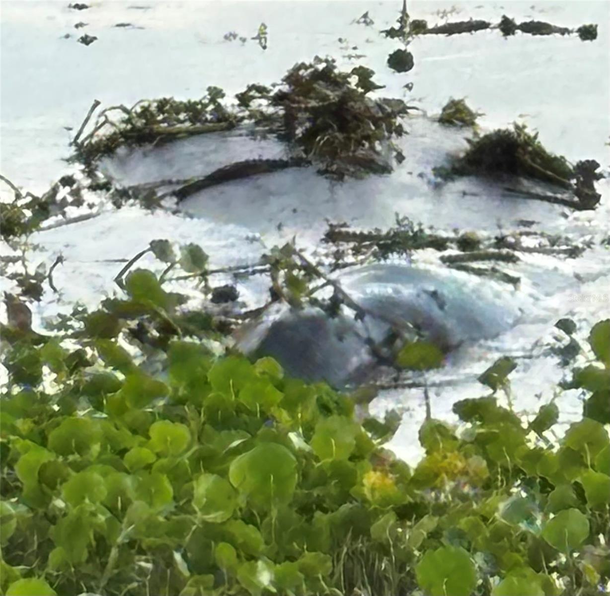 130 OAK TREE DR, DEBARY, FL, 32713