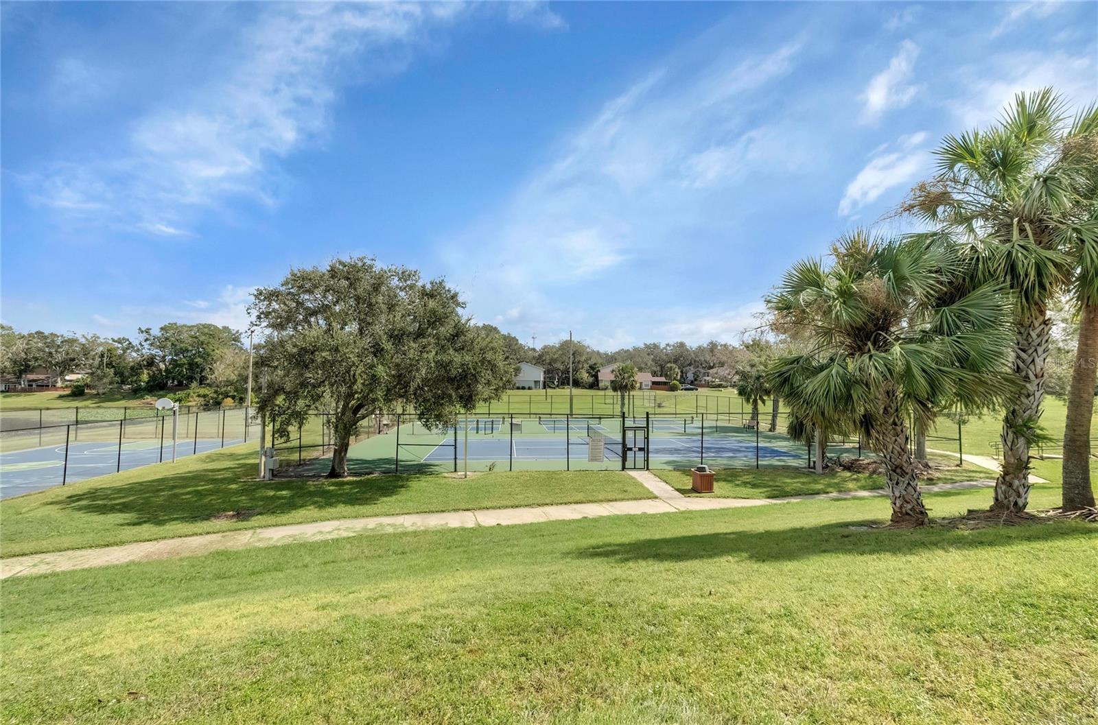 14629 LAKE FOREST DR, LUTZ, FL, 33559