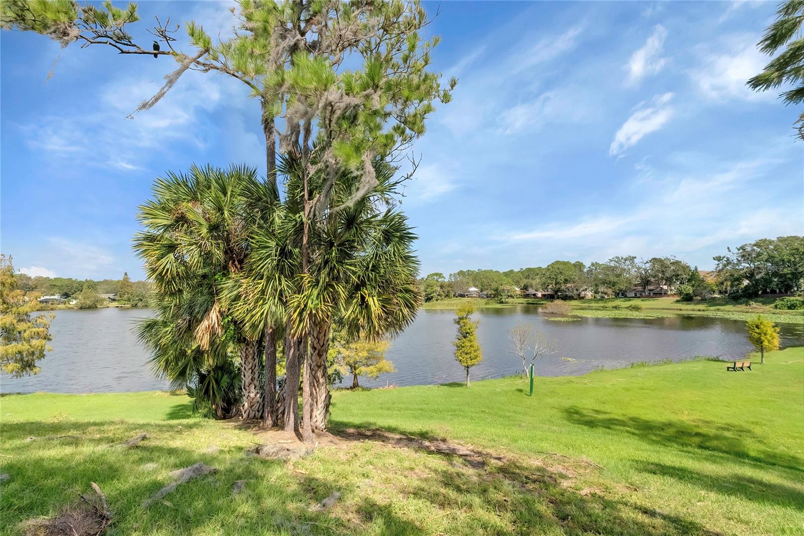 14629 LAKE FOREST DR, LUTZ, FL, 33559