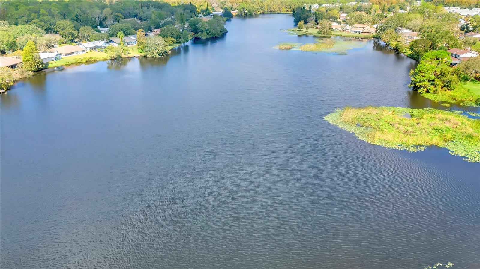 14629 LAKE FOREST DR, LUTZ, FL, 33559