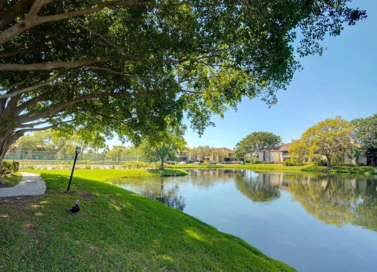 10263 GANDY BLVD N #615, ST PETERSBURG, FL, 33702