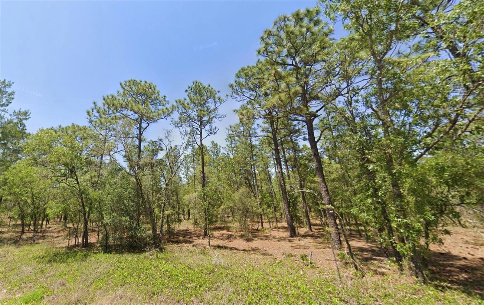 00 NW AMBERJACK AVE, DUNNELLON, FL, 34431