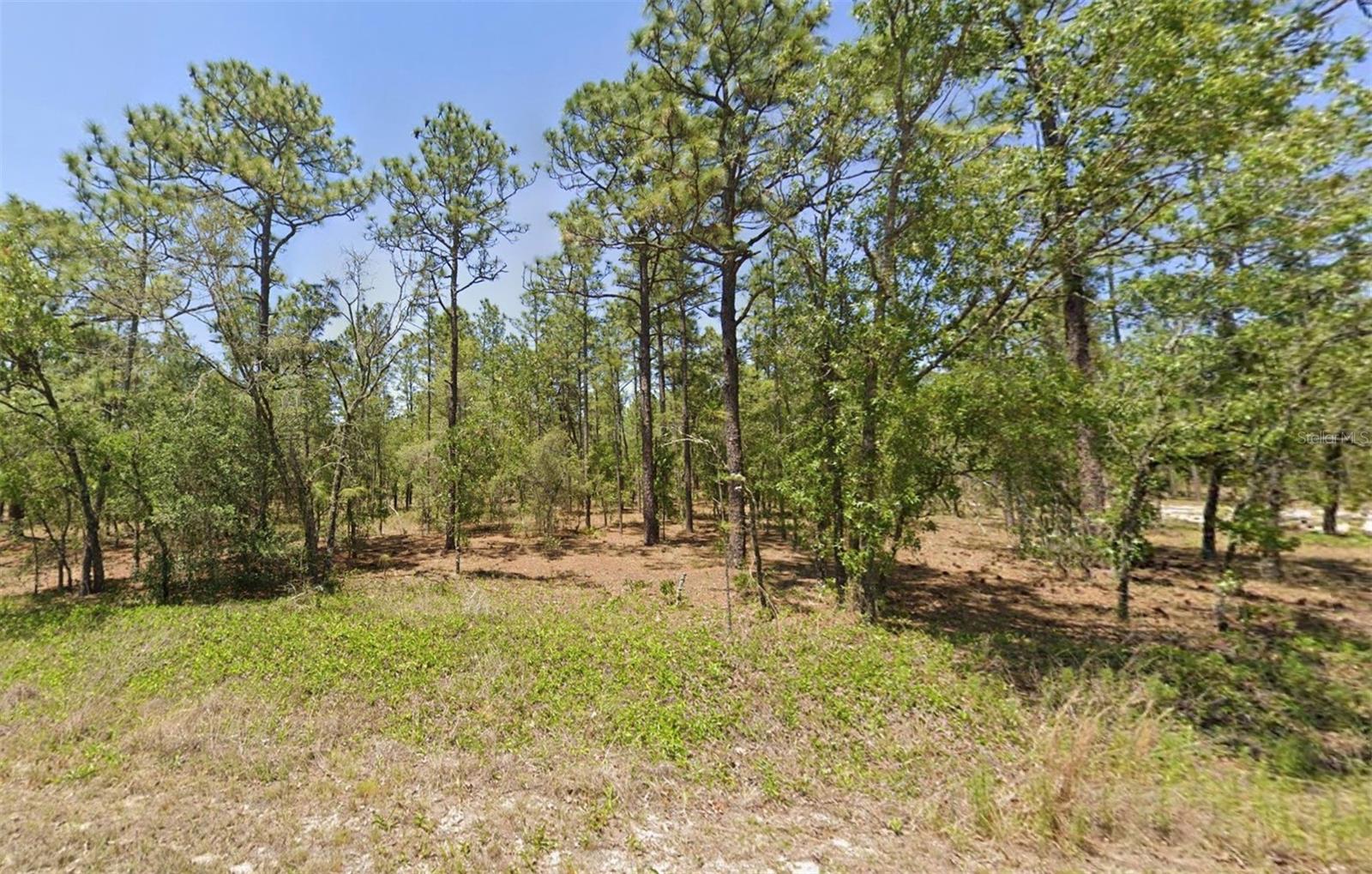 00 NW AMBERJACK AVE, DUNNELLON, FL, 34431